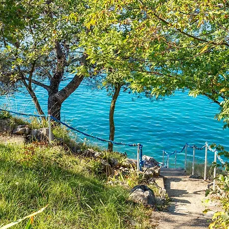 Brankica Island