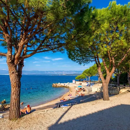 Brankica Island
