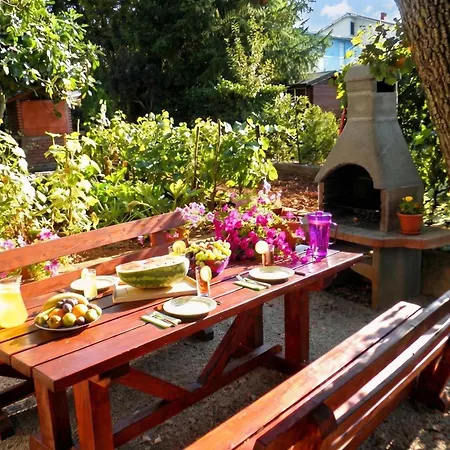 Brankica Island Apartment *