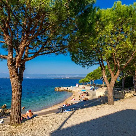 Brankica Island *